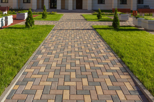 Best Affordable Driveway Paving  in Thompsons Station, TN